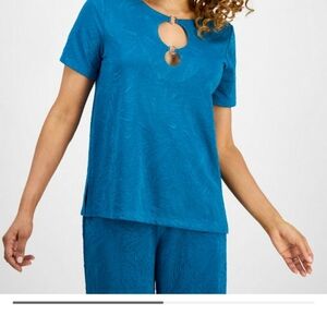 Elegant Blue Women's Top /pant Set